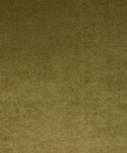 Paradox Sage M8913 by Barrow Designer Fabric