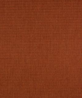 Phenom Coral M8923 by Barrow Industries Designer Fabric Textures/Solids/13C04 51% RAYON
49% POLYESTER Asia 70,000 DOUBLE RUBS Horizontal: N/A and Vertical: N/A 57" - Swanky Fabrics -