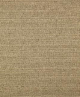 Caspian 11111 M10256 by Barrow Designer Fabric 18C02 66% POLYESTER FILAMENT-TEXTURED 34% POLYESTER FILAMENT NON-TEXTURED CHINA 36,000 DOUBLE RUBS </p><p>Repeat: Horizontal: and Vertical: 54" Minimum - Swanky Fabrics -