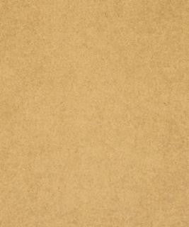 Somerville Camel M8915 by Barrow Designer Fabric 1113 100% POLYESTER CHINA 24,000 DOUBLE RUBS </p><p>Repeat: Horizontal: N/A and Vertical: N/A 54" Minimum - Swanky Fabrics -