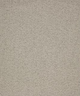 Mazzoni 11112 M10541 by Barrow Designer Fabric 1907 84% POLYESTER (F)
12% RAYON (S)
4% POLYESTER (S) CHINA 33,000 DOUBLE RUBS </p><p>Repeat: Horizontal: and Vertical: 54" Minimum - Swanky Fabrics -