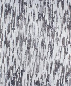 Spirketting Birch M9941 by Barrow Designer Fabric
