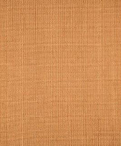 Playground 11405 M9488 by Barrow Designer Fabric