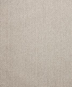 Sumptuous 11001 M10351 by Barrow Designer Fabric