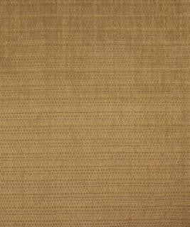 Comfy 11313 M10331 by Barrow Industries Designer Fabric Casual Living/18C01 100% POLYESTER Asia 15,000 DOUBLE RUBS Horizontal: - and Vertical: - 57" - Swanky Fabrics -