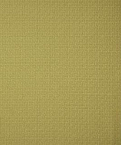 Fort Macon Alfalfa M8692 by Barrow Designer Fabric