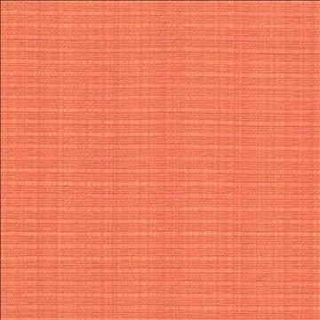 In Flux Melon by Kasmir Designer Fabric 1439 100% Cotton INDIA 15,000 Wyzenbeek Double Rubs H: N/A, V: N/A 54 - 55 - Swanky Fabrics - Kasmir