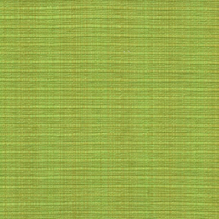In Flux Snow Pea by Kasmir Designer Fabric 1442 100% Cotton INDIA 15,000 Wyzenbeek Double Rubs Horizontal: 0 Inches and Vertical: 0 Inches 54 - 55 - Swanky Fabrics -