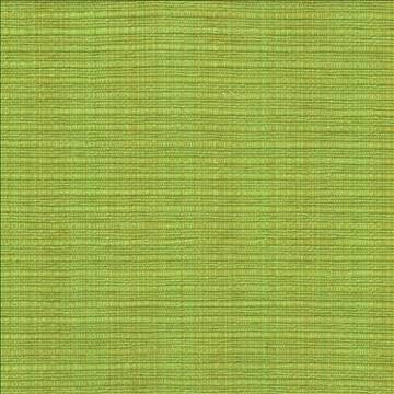 In Flux Snow Pea by Kasmir Designer Fabric 1442 100% Cotton INDIA 15,000 Wyzenbeek Double Rubs H: N/A, V: N/A 54 - 55 - Swanky Fabrics - Kasmir