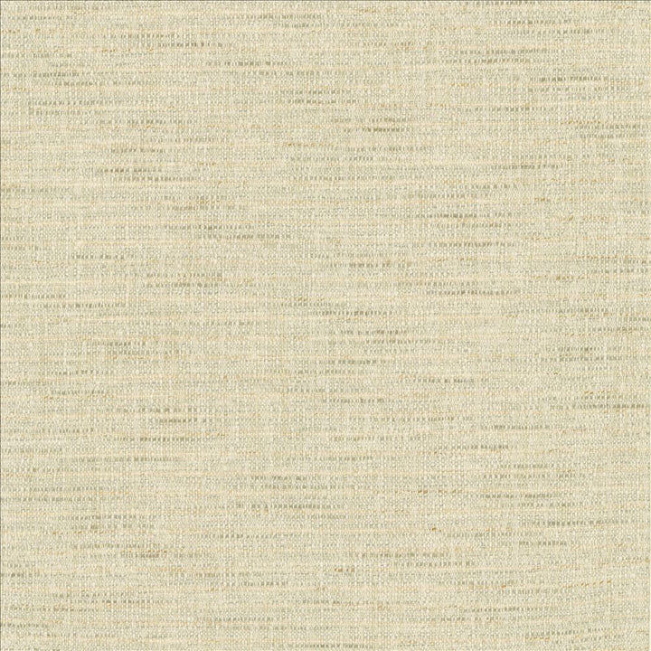 Integrity Mist by Kasmir Designer Fabric 5171 66% Polyester
22% Olefin
12% Cotton
 USA </p><p>Repeat: Horizontal: N/A and Vertical: N/A 54 - Swanky Fabrics -