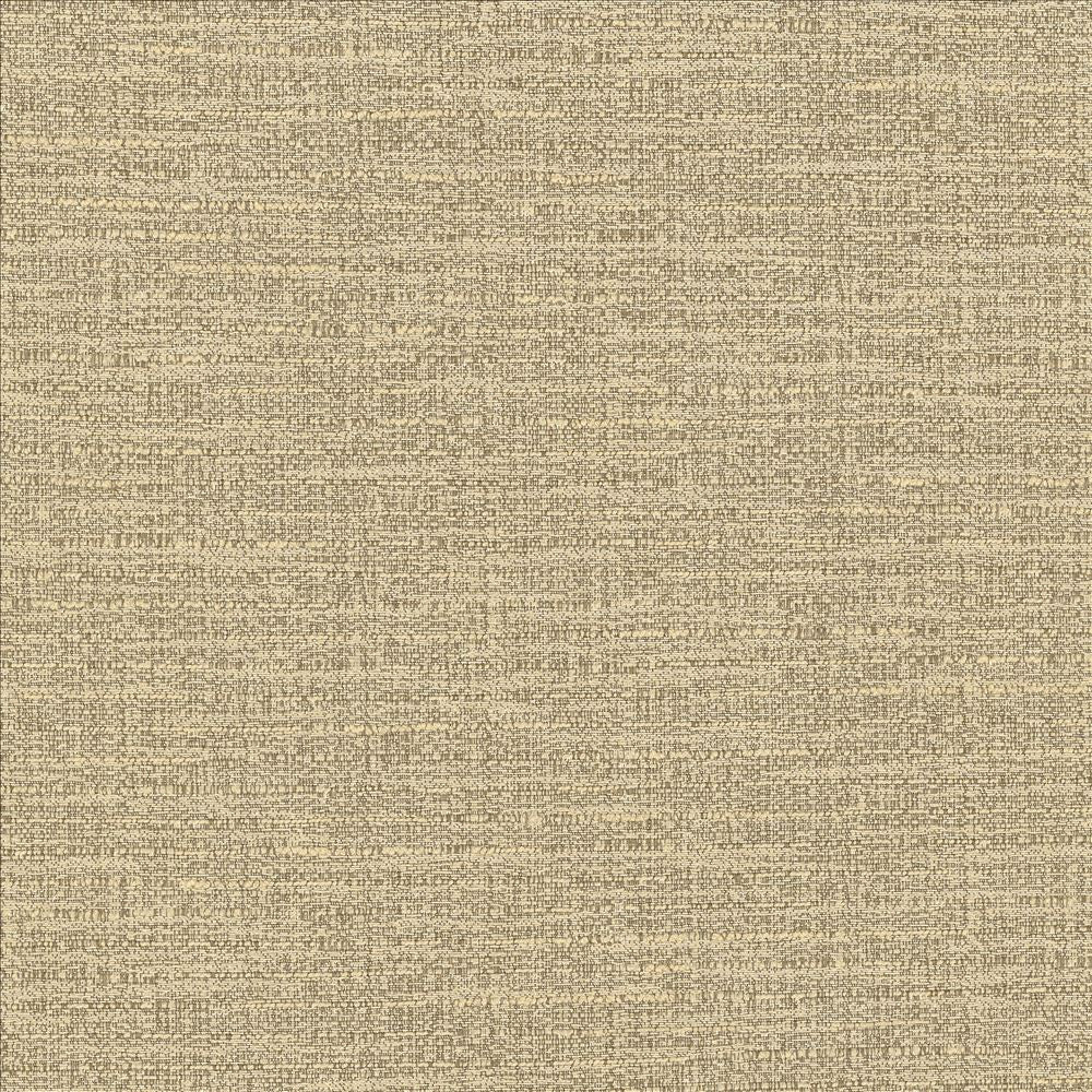 Ipanema Cashmere by Kasmir Designer Fabric 5181 59% Cotton
41% Polyester
 TAIWAN 12,000 Wyzenbeek Double Rubs </p><p>Repeat: Horizontal: N/A and Vertical: N/A 54 - Swanky Fabrics -