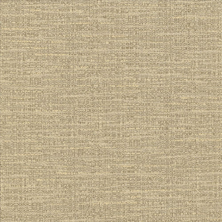 Ipanema Cashmere by Kasmir Designer Fabric 5181 59% Cotton
41% Polyester
 TAIWAN 12,000 Wyzenbeek Double Rubs </p><p>Repeat: Horizontal: N/A and Vertical: N/A 54 - Swanky Fabrics -