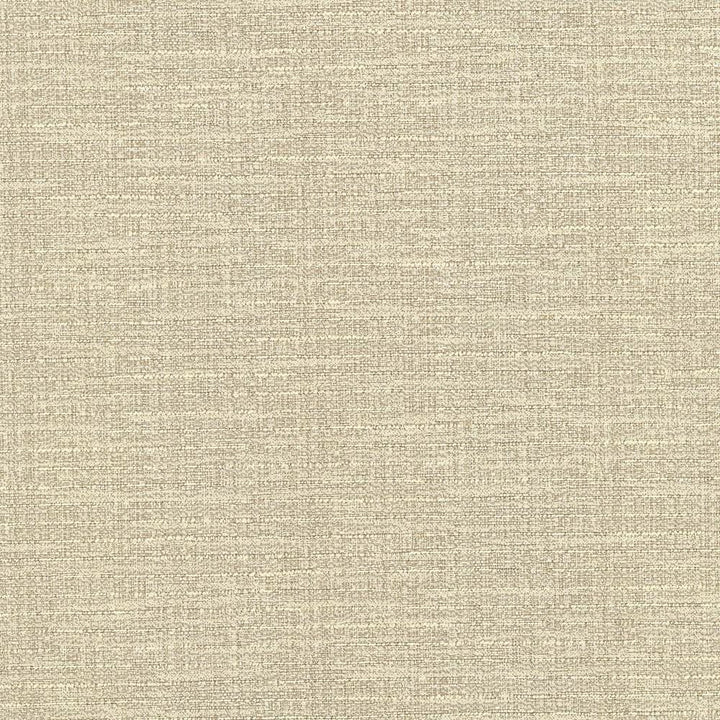 Ipanema Sandstone  by Kasmir Designer Fabric 5036 51% Cotton
49% Polyester
 TAIWAN 15,000 Wyzenbeek Double Rubs Horizontal: N/A and Vertical: N/A 54  - Swanky Fabrics -