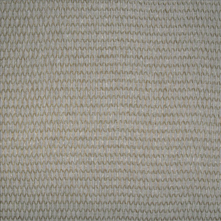 Jonas Raffia by Kasmir Designer Fabric 5157 100% Polyester
 TURKEY </p><p>Repeat: Horizontal: 4/8 inches and Vertical: 1 2/8 inches 118 - Swanky Fabrics -
