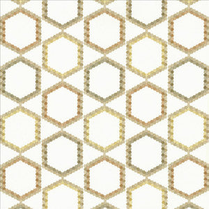 Juvenescent Potpourri by Kasmir Designer Fabric