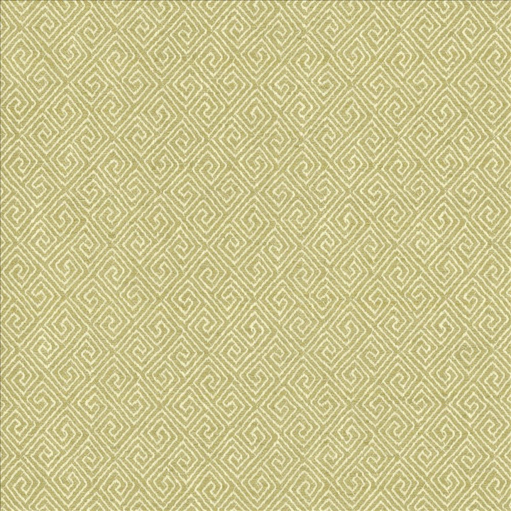 Kaiping Pear by Kasmir Designer Fabric 1461 59% Polyester
41% Cotton
 INDIA 100,000 Wyzenbeek Double Rubs </p><p>Repeat: Horizontal: 2 5/8 inches and Vertical: 3 inches 53 - Swanky Fabrics -