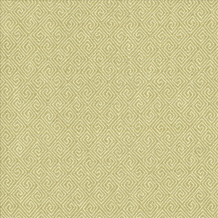 Kaiping Pear  by Kasmir Designer Fabric 1461 59% Polyester
41% Cotton
 INDIA 100,000 Wyzenbeek Double Rubs Horizontal: 2 5/8 inches and Vertical: 3 inches 57  - Swanky Fabrics -