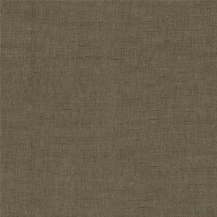 Kamari Chestnut by Kasmir Designer Fabric 5150 100% Polyester
 INDIA </p><p>Repeat: Horizontal: N/A and Vertical: N/A 54 - Swanky Fabrics -
