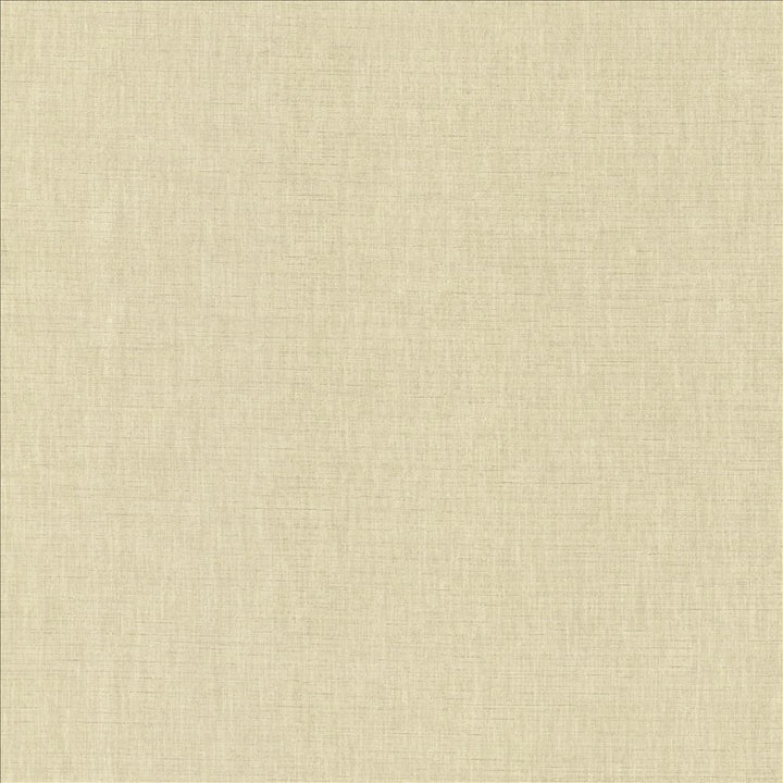 Kamari Dove Grey by Kasmir Designer Fabric 5150 100% Polyester
 INDIA Not Tested </p><p>Repeat: Horizontal: N/A and Vertical: N/A 54 - Swanky Fabrics -