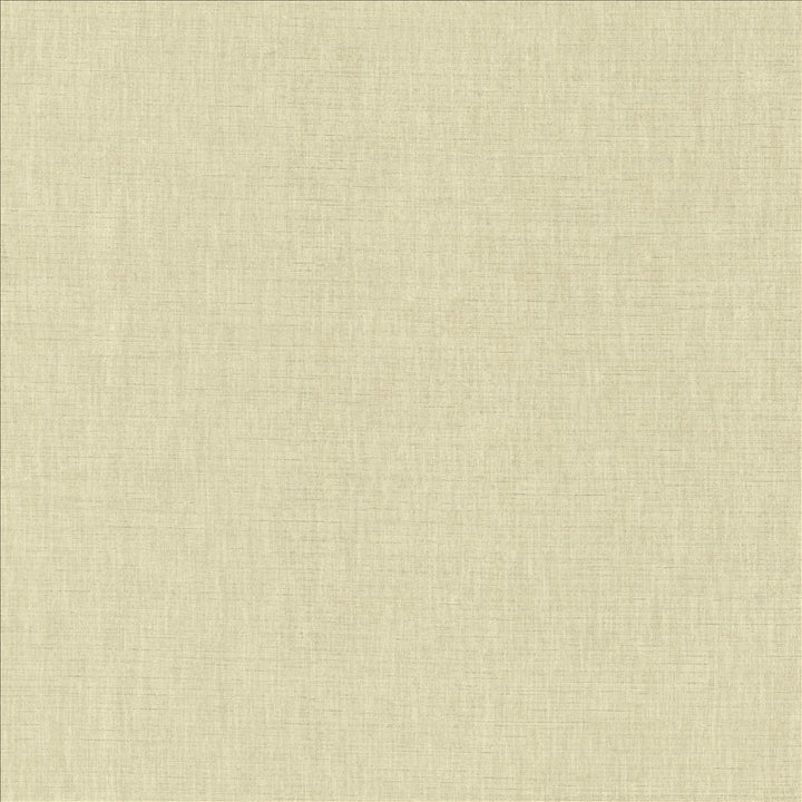 Kamari Dove Grey by Kasmir Designer Fabric 5150 100% Polyester
 INDIA </p><p>Repeat: Horizontal: N/A and Vertical: N/A 54 - Swanky Fabrics -