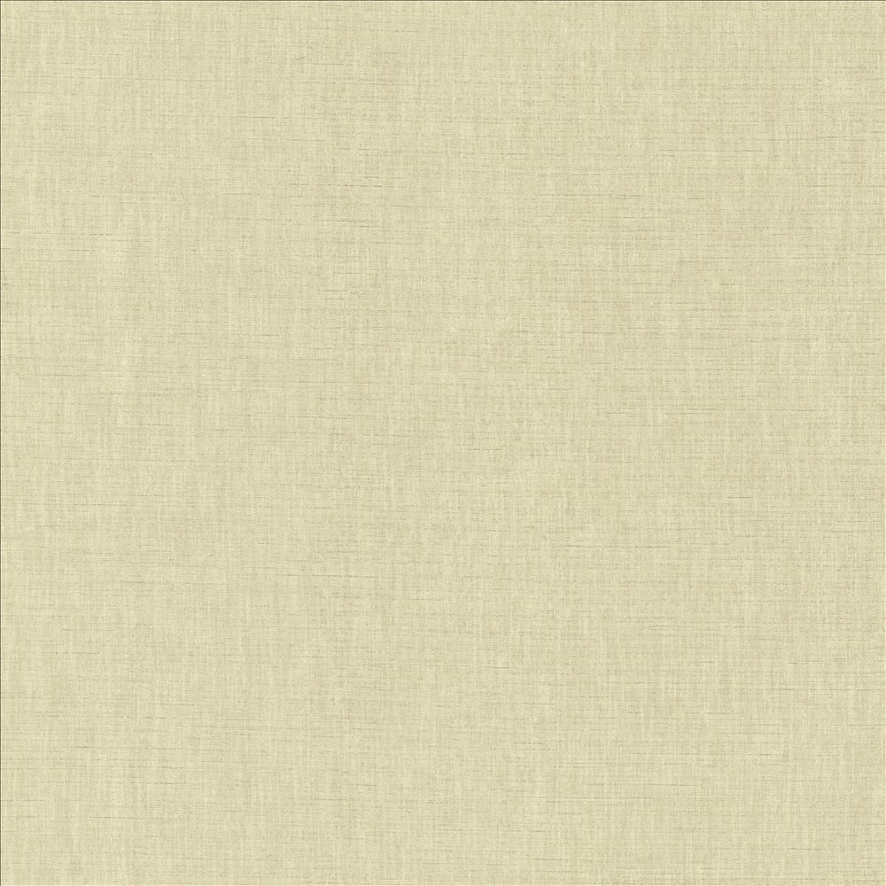 Kamari Dove Grey by Kasmir Designer Fabric 5150 100% Polyester
 INDIA </p><p>Repeat: Horizontal: N/A and Vertical: N/A 54 - Swanky Fabrics -