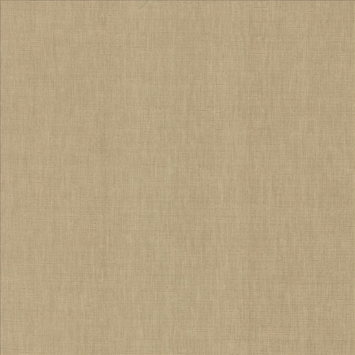 Kamari Pewter by Kasmir Designer Fabric 5150 100% Polyester INDIA Not Tested Horizontal: 0 Inches and Vertical: 0 Inches 54 - Swanky Fabrics -