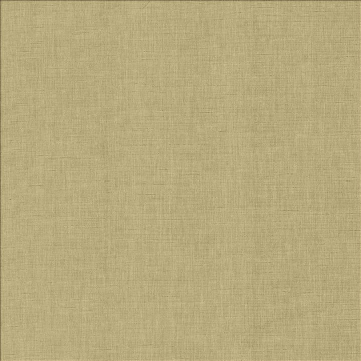 Kamari Taupe by Kasmir Designer Fabric See sample 100% Polyester
 INDIA Not Tested </p><p>Repeat: Horizontal: N/A and Vertical: N/A 54 - Swanky Fabrics -