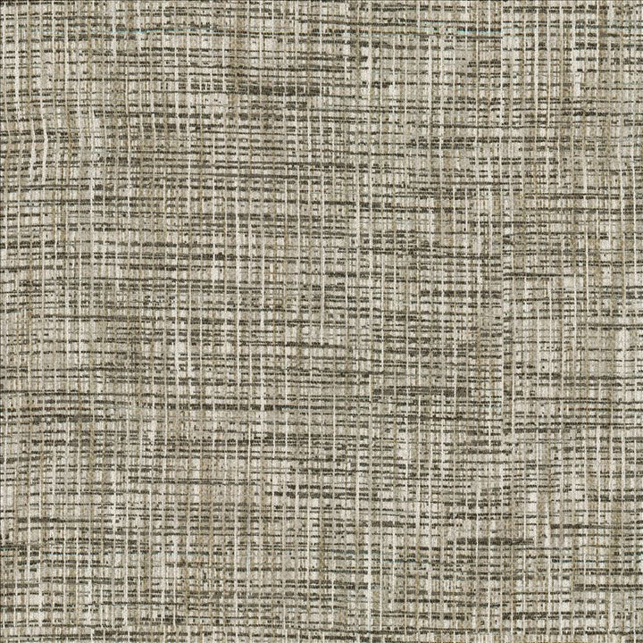 Katniss Granite by Kasmir Designer Fabric 1461 86% Polyester
14% Rayon
 INDIA 100,000 Wyzenbeek Double Rubs </p><p>Repeat: Horizontal: N/A and Vertical: N/A 57 - Swanky Fabrics -