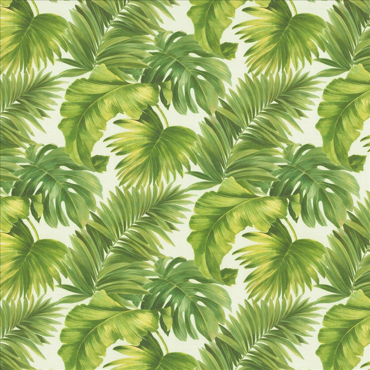 Keanu Palm 55 Green by Kasmir Designer Fabric 1453 65% Polyester
35% Cotton
 SPAIN 40,000 Martindale Cycles </p><p>Repeat: Horizontal: 27 5/8 inches and Vertical: 24 4/8 inches 55 - Swanky Fabrics -