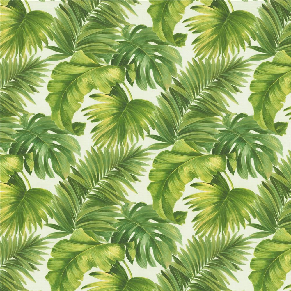 Keanu Palm 55 Green by Kasmir Designer Fabric See sample 65% Polyester
35% Cotton
 SPAIN 40,000 Martindale Cycles </p><p>Repeat: Horizontal: 27 5/8 inches and Vertical: 24 4/8 inches 55 - Swanky Fabrics -