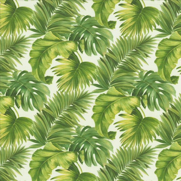 Keanu Palm 55 Green  by Kasmir Designer Fabric 1453 65% Polyester
35% Cotton
 SPAIN 40,000 Martindale Cycles Horizontal: 27 5/8 inches and Vertical: 24 4/8 inches 55  - Swanky Fabrics -
