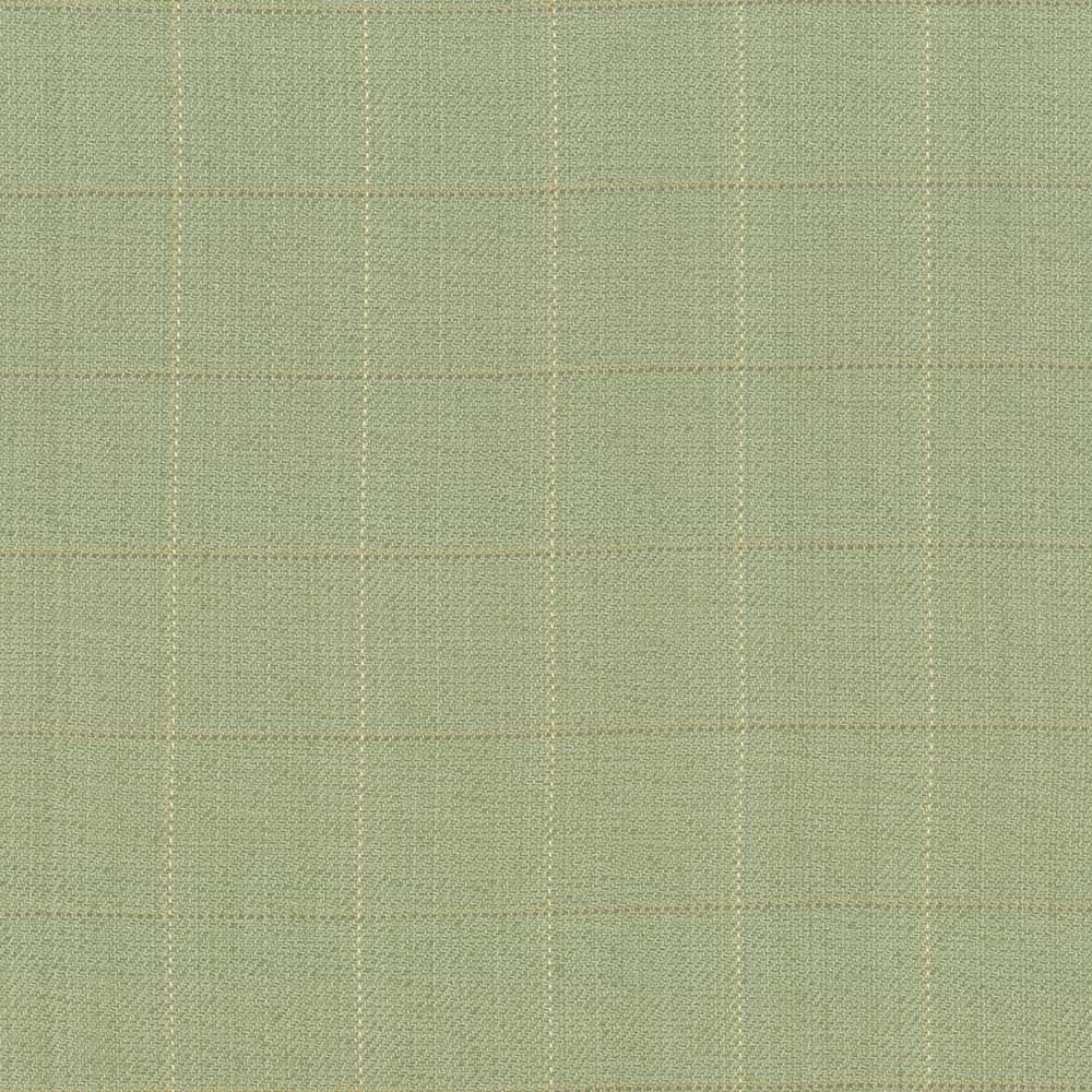 Keheley Thyme  by Kasmir Designer Fabric 1442 100% Cotton
 INDIA 12,000 Wyzenbeek Double Rubs Horizontal: 3 inches and Vertical: 3 inches 53  - Swanky Fabrics -