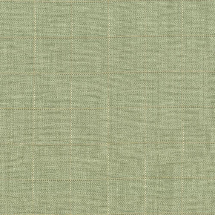 Keheley Thyme by Kasmir Designer Fabric See sample 100% Cotton
 INDIA 12,000 Wyzenbeek Double Rubs </p><p>Repeat: Horizontal: 3 inches and Vertical: 3 inches 53 - Swanky Fabrics -