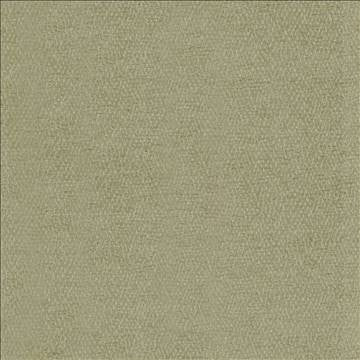 Kibatu Sage by Kasmir Designer Fabric 5099 53% Acrylic 47% Polyester TURKEY 8,000 Martindale Cycles H: N/A, V: N/A 55 - 58 - Swanky Fabrics - Kasmir