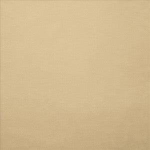 Knockout Beige by Kasmir Designer Fabric