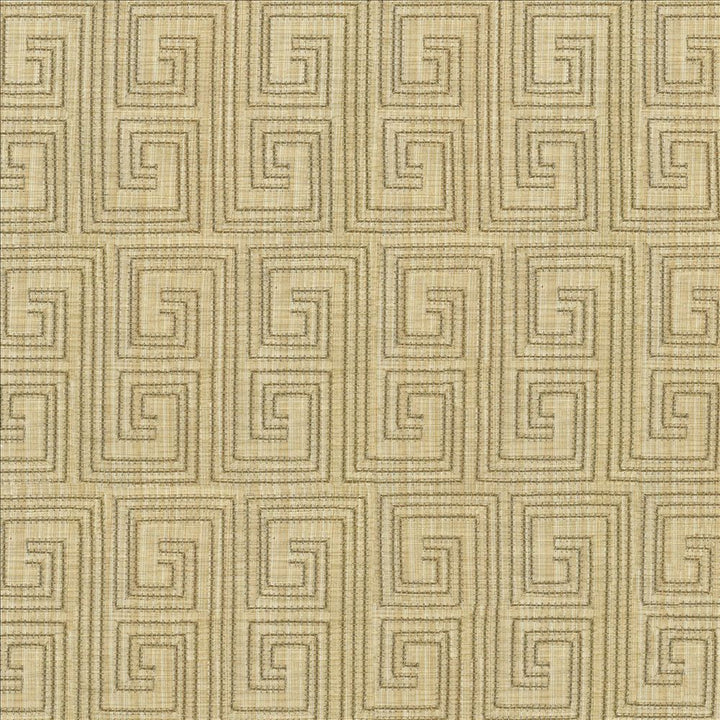 Labyrinth Dune by Kasmir Designer Fabric See sample 65% Cotton
35% Polyester
Embroidery
100% Rayon
 INDIA 3,000 Wyzenbeek Double Rubs </p><p>Repeat: Horizontal: 3 2/8 inches and Vertical: 6 1/8 inches 52 - Swanky Fabrics -