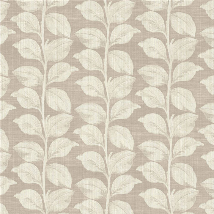 Lakeshore Dove  by Kasmir Designer Fabric 1449 67% Polyester
33% Cotton
 INDIA 28,000 Martindale Cycles Horizontal: 13 6/8 inches and Vertical: 8 6/8 inches 53  - Swanky Fabrics -