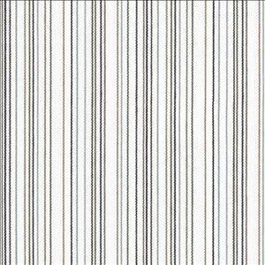 Larson Stripe Charcoal by Kasmir Designer Fabric
