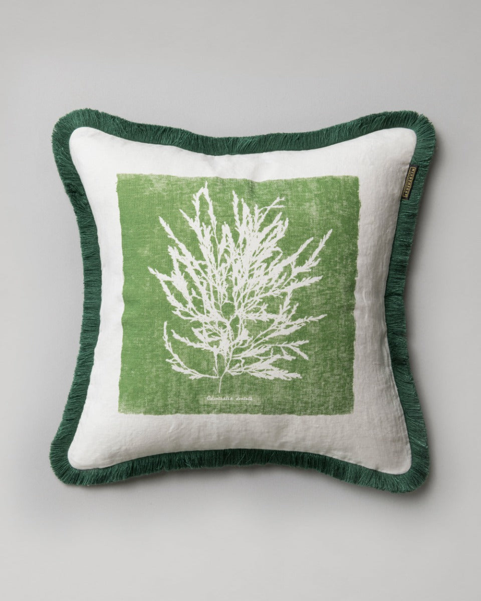 Algae I pillow by Mind the Gap (LC40074), front
