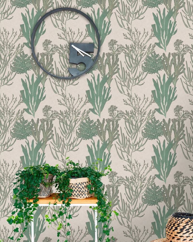 Light Corals Wallpaper by Mind the Gap Designer Wallpaper THE WALLPAPER COLLECTABLES Textured Matte Made in Europe Paste the wall 3 rolls x 20.5 x 3.25 yards - Swanky Fabrics -