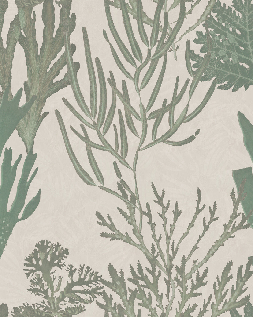 Light Corals wallpaper by Mind the Gap (WP20300), swatch