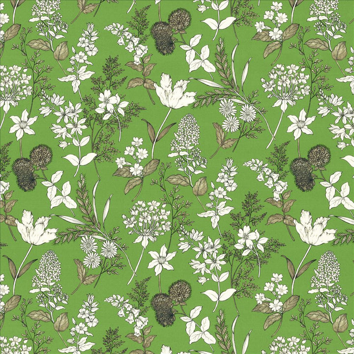 Lily Fern by Kasmir Designer Fabric See sample 100% Cotton
 SPAIN 35,000 Wyzenbeek Double Rubs </p><p>Repeat: Horizontal: 27 inches and Vertical: 27 inches 54 - Swanky Fabrics -