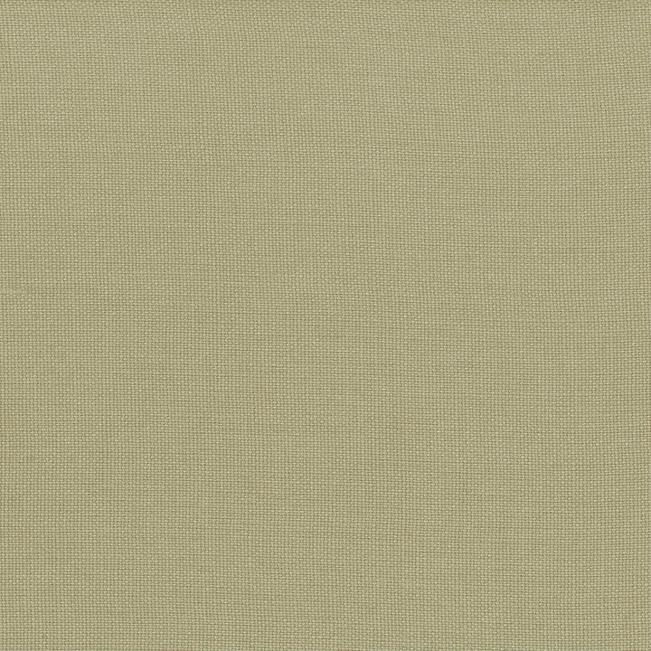 Lismore Bay Leaf by Kasmir Designer Fabric 1432 100% Linen
 BRAZIL </p><p>Repeat: Horizontal: N/A and Vertical: N/A 54 - Swanky Fabrics -