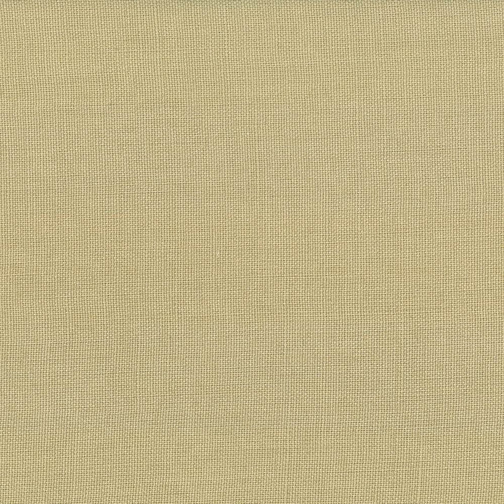 Lismore Mushroom  by Kasmir Designer Fabric 1432 100% Linen
 BRAZIL 8,000 Wyzenbeek Double Rubs Horizontal: N/A and Vertical: N/A 54  - Swanky Fabrics -
