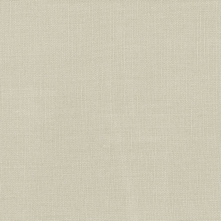 Lismore Silver by Kasmir Designer Fabric 1432 100% Linen BRAZIL 8,000 Wyzenbeek Double Rubs Horizontal: 0 Inches and Vertical: 0 Inches 54 - Swanky Fabrics -