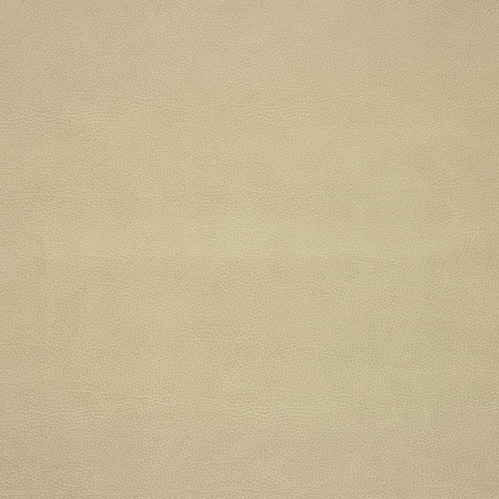 LORIS.106 by Kravet Design Designer Fabric our website for purchase 100% Leather Korea, Republic of Heavy Horizontal: see sample and Vertical: see sample 54 inches - Swanky Fabrics -