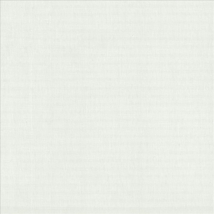 Lucille White by Kasmir Designer Fabric See sample 100% Linen
 INDIA 15,000 Wyzenbeek Double Rubs </p><p>Repeat: Horizontal: N/A and Vertical: N/A 54 - Swanky Fabrics -