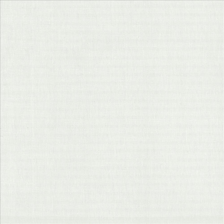 Lucille White by Kasmir Designer Fabric 1459 100% Linen
 INDIA 15,000 Wyzenbeek Double Rubs </p><p>Repeat: Horizontal: N/A and Vertical: N/A 54 - Swanky Fabrics -
