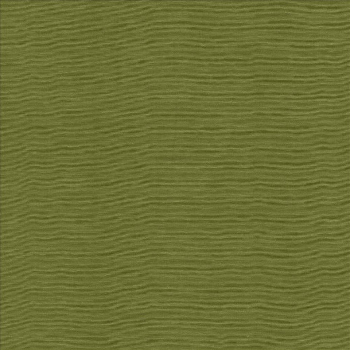 Lucinda Avocado by Kasmir Designer Fabric 5166 72% Rayon
28% Polyester
 CHINA </p><p>Repeat: Horizontal: N/A and Vertical: N/A 54 - Swanky Fabrics -