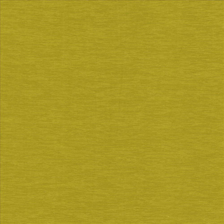 Lucinda Chartreuse by Kasmir Designer Fabric 5166 72% Rayon
28% Polyester
 CHINA 40,000 Martindale Cycles </p><p>Repeat: Horizontal: N/A and Vertical: N/A 54 - Swanky Fabrics -
